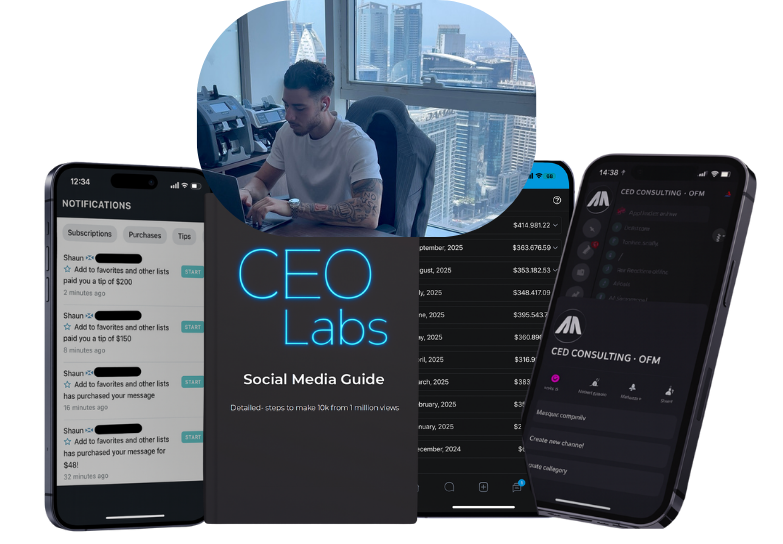 CEO Consulting Lab